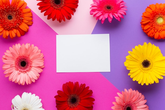 Foto gratuita tarjeta blanca vacía rodeada de gerberas