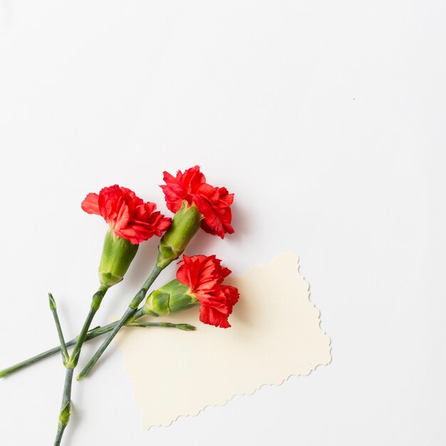 Tarjeta en blanco con rosas