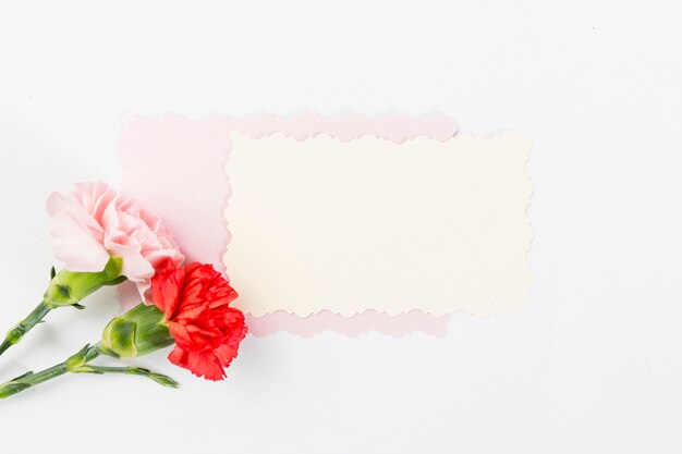 Tarjeta en blanco con rosas