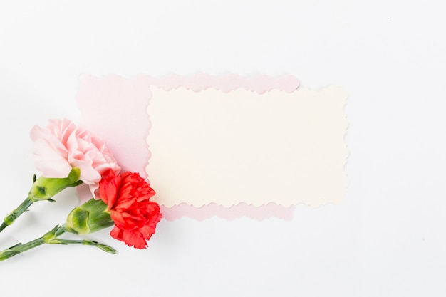 Tarjeta en blanco con rosas