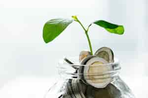 Foto gratuita tarro de economía verde con dinero y planta en crecimiento