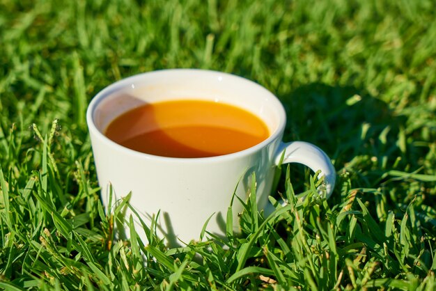 Taza de café sobre el césped verde