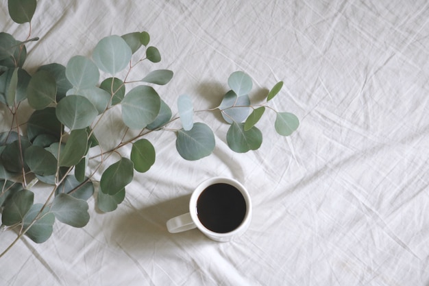 Taza de cerámica blanca plana con café junto a las hojas del árbol de goma de dólar de plata en la sábana blanca