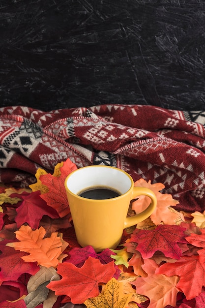 Foto gratuita taza en hojas cerca de la manta