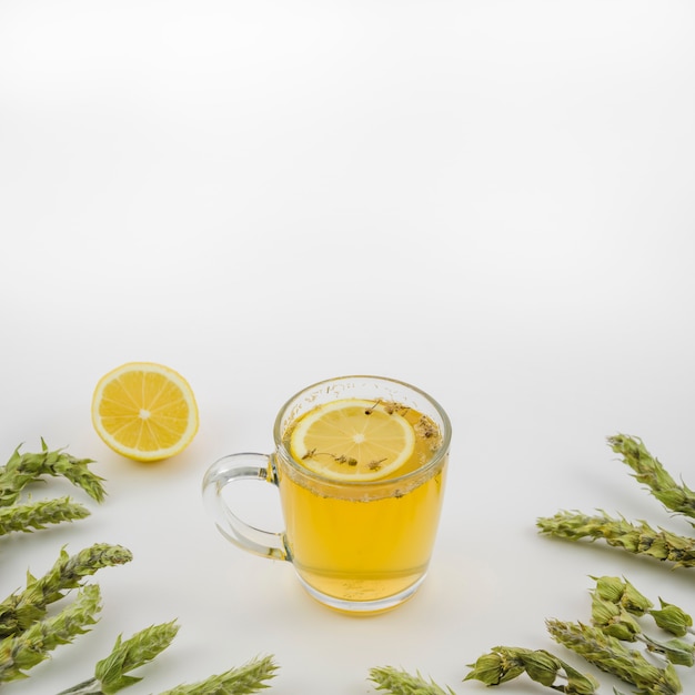 Taza de té de limón decorada con hierbas sobre fondo blanco