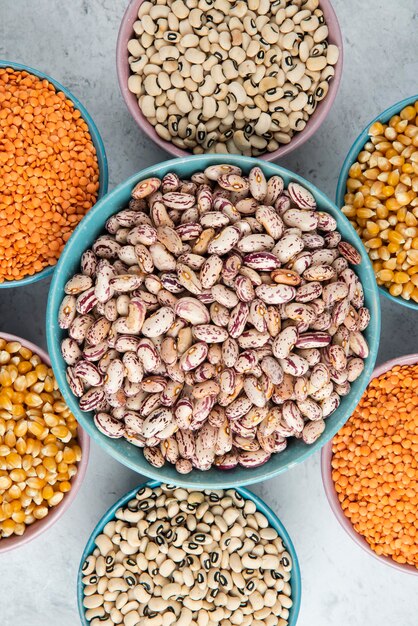 Tazón grande de frijoles marrones alrededor de varios frijoles crudos y lentejas.