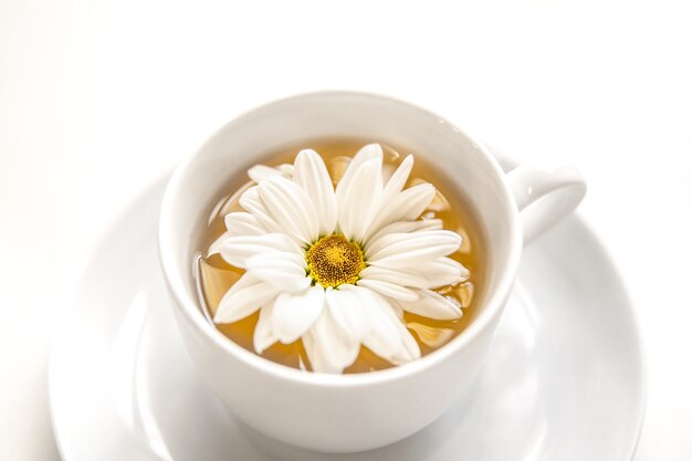 Té de primer plano con flor de manzanilla aislado en blanco.