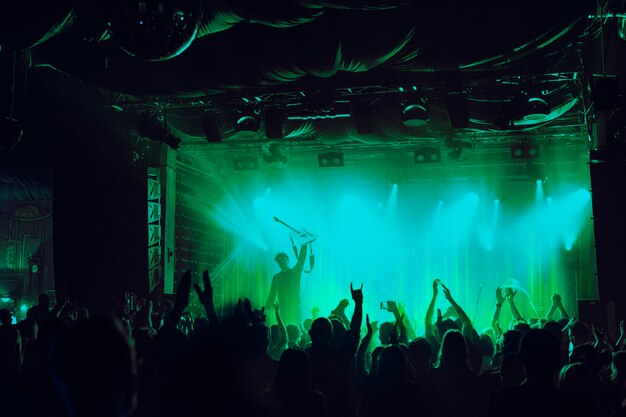 Tecnología de ondas de sonido animando a la multitud en el concierto multimedia remezclada