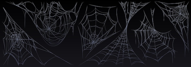 Tela de araña conjunto de Halloween telaraña espeluznante red de insectos