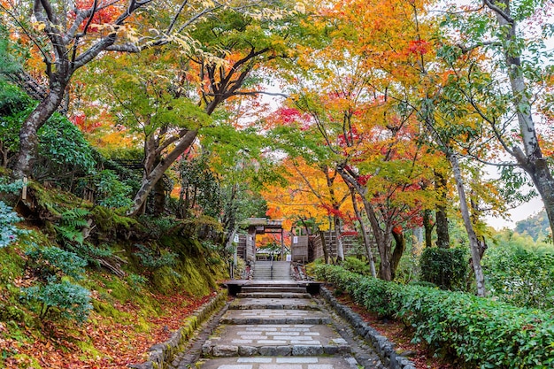 Templo Adashinonenbutsuji en otoño, Kyoto en Japón.