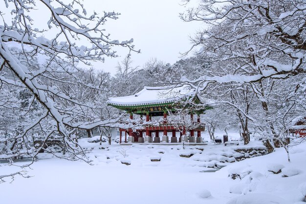 Templo Baekyangsa y nieve que cae, montaña Naejangsan en invierno con nieve, montaña famosa en Corea.Paisaje de invierno