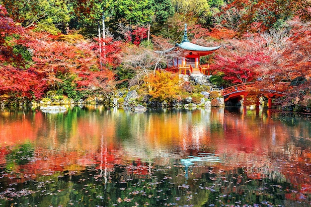 Foto gratuita templo daigoji en otoño, kyoto. temporadas de otoño de japón.