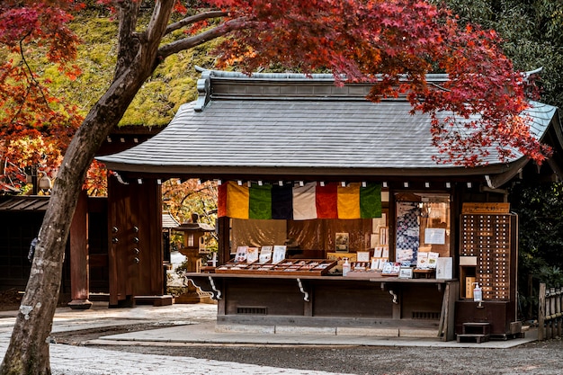 Templo japonés con árbol inclinado