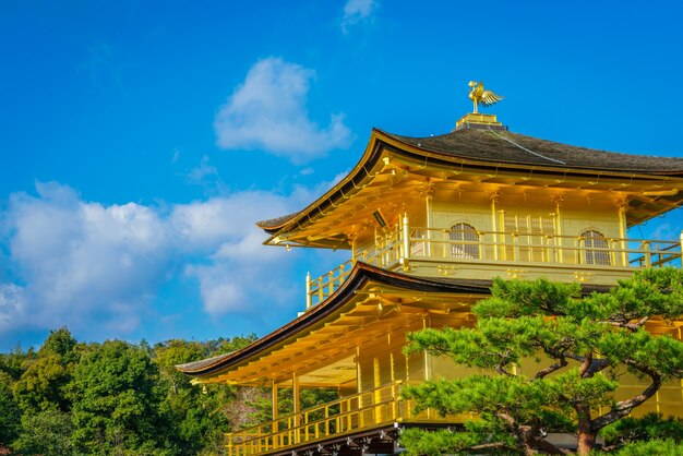 Templo Kinkakuji &quot;El pabellón de oro&quot; en Kyoto, Japón