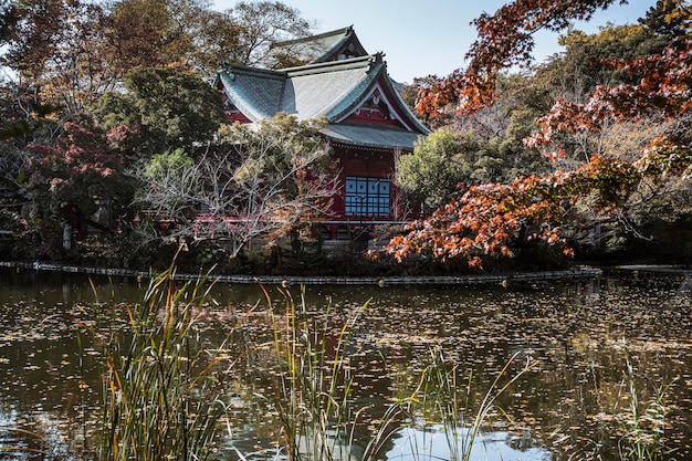 Templo tradicional japonés con lago