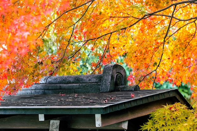 Temporada de otoño de Japón con techo de arquitectura en el parque, Japón.