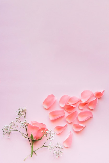 Tender rosa y ramitas florales