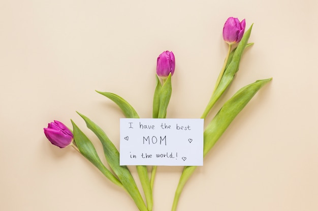 Foto gratuita tengo la mejor mamá del mundo inscripción con tulipanes.
