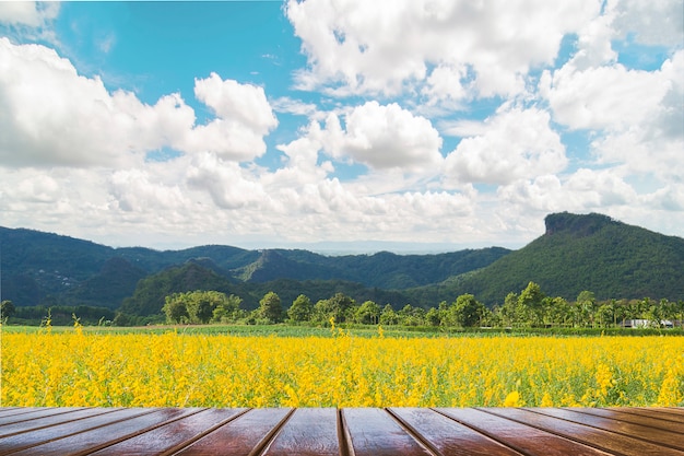 Terraza de madera sobre un hermoso campo de flores amarillas y un cielo azul de montaña