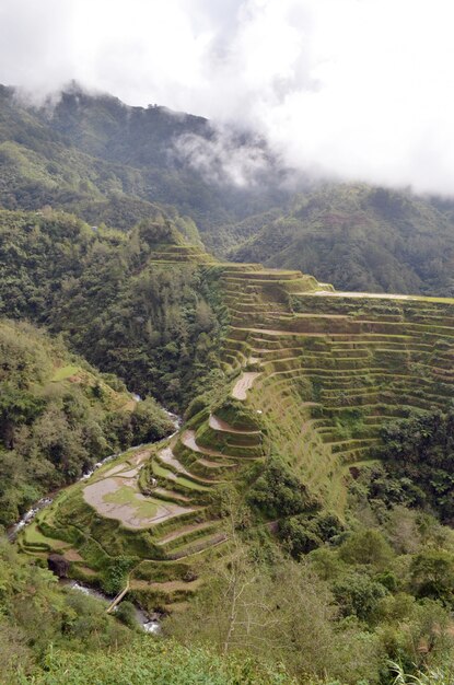 Terrazas de arroz