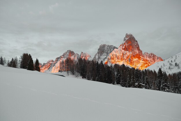 Terreno cubierto de nieve