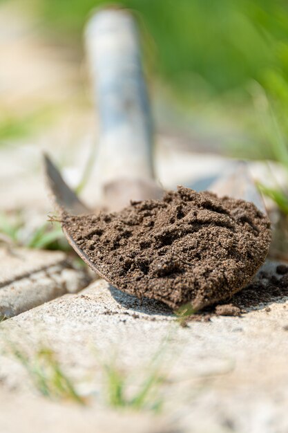 Terreno sobre una pequeña pala. Trabajar en el jardín.