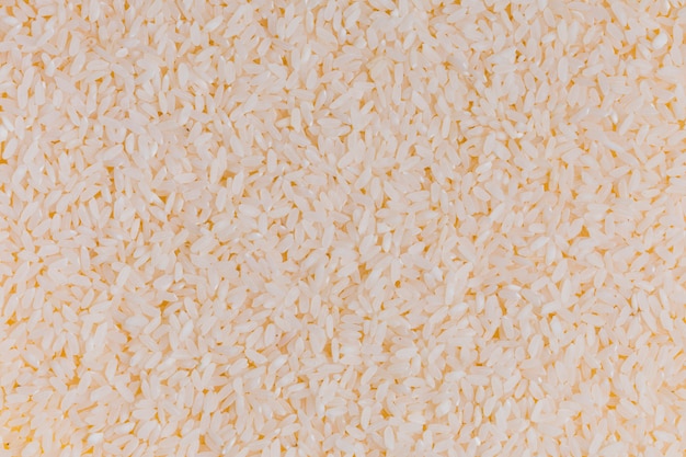 Foto gratuita textura de arroz de cerca