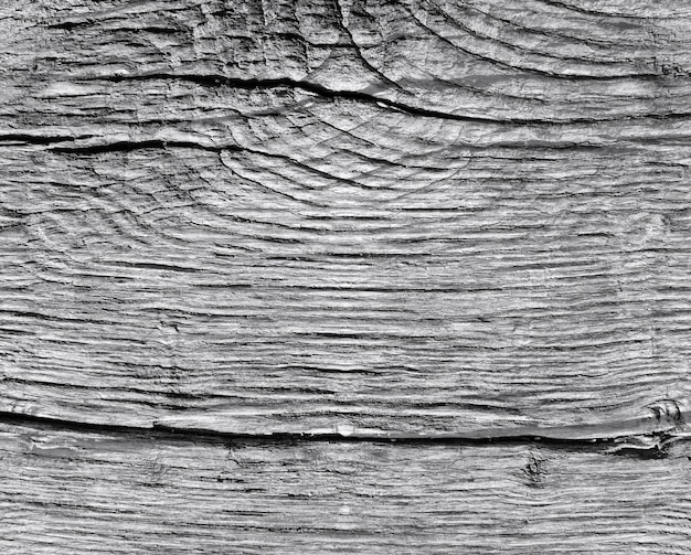 Textura cálida de madera