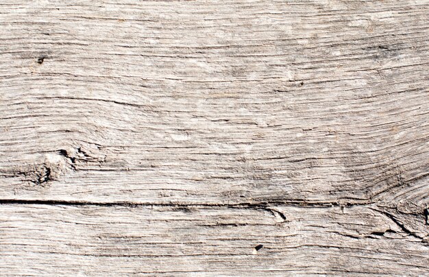 Textura cálida de madera