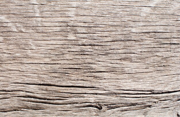 Textura cálida de madera