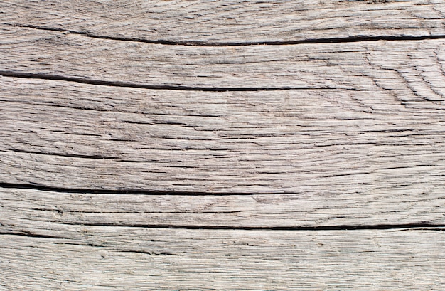 Textura cálida de madera