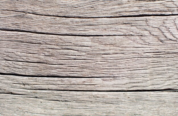 Textura cálida de madera