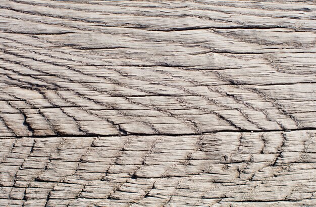 Textura cálida de madera