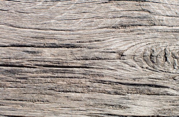 Foto gratuita textura cálida de madera