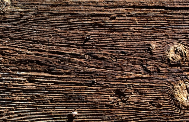 Textura cálida de madera