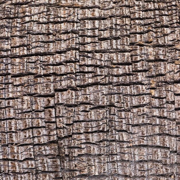 Textura extrema de madera de primer plano