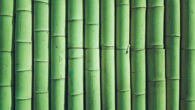 Textura de fondo de bambú