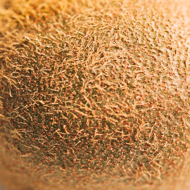 Textura macro de kiwi