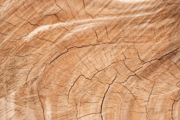 Textura de madera agrietada