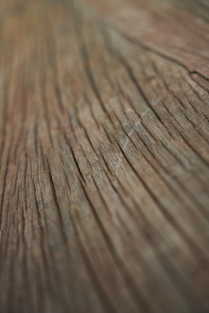 textura de la madera en bruto de la madera marrón