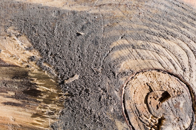 Textura de madera de cerca