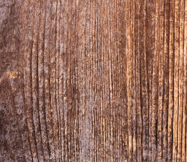 Textura de madera de corteza con patrón natural antiguo