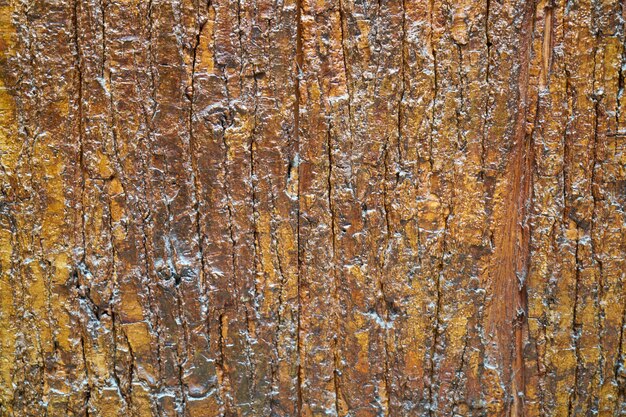 Textura de madera dañada