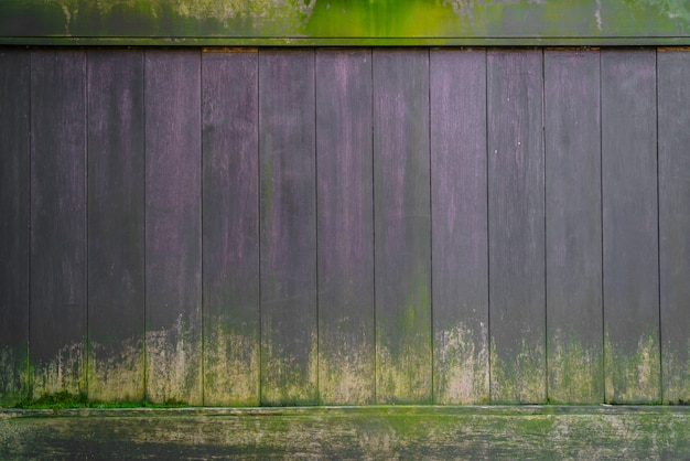 Textura de madera del fondo