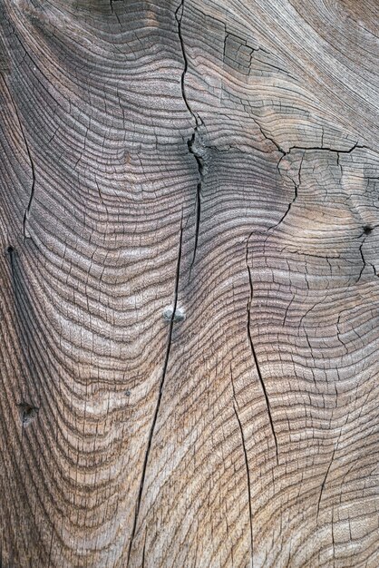 Textura de madera del fondo