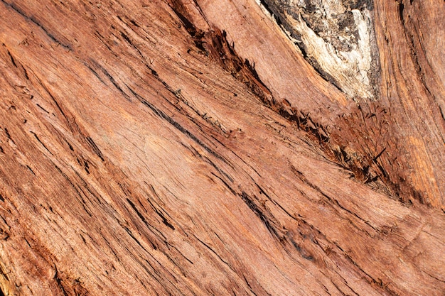 Textura de madera con granos