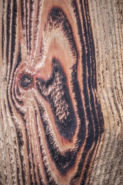 Textura de madera marrón. Fondo abstracto, plantilla vacía