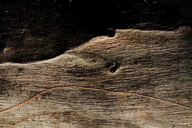 Foto gratuita textura de madera oscura con espacio de copia