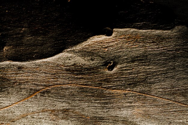 Textura de madera oscura con espacio de copia