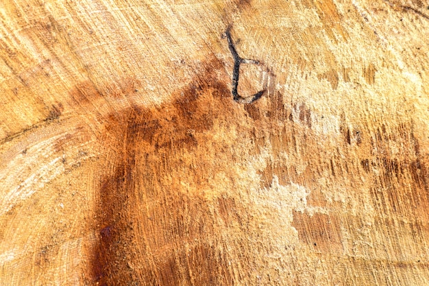 Textura de madera con rasguños